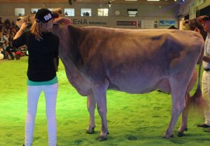 enSC13 _159